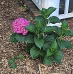 Beth Eastman - Facebook