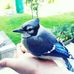 Beth Ostrowski - Facebook