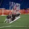 Beth Ostrowski - @beth.ostrowski - TikTok