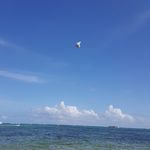 Beth Oswald - @b_oswald - Instagram