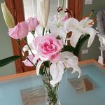 Beth Reaser-Oswald - @reaseroswald - Instagram