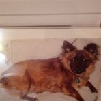 Beth Overmyer - Facebook