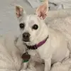 BethPace86 - @bethpace86 - TikTok
