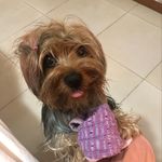 Beth Pacheco - @bethpachecoyork - Instagram