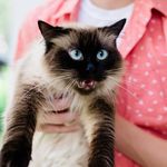 Beth Pack - @beth.pack5 - Instagram