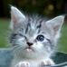 Beth Pack - Facebook