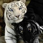 Beth Padgett - @beth.padgett.10 - Instagram