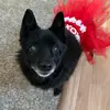 Beth Page - @beth.page - TikTok