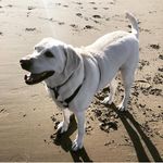 Beth Ann Painter - @bethannpainter - Instagram