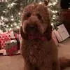 bethtammepainter - @bethtammepainter - TikTok