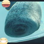 Elizabeth Pajak - Facebook