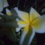 Bethris Palamana - Facebook