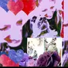 Beth Scala Palermo - @beth.scala.palerm - TikTok