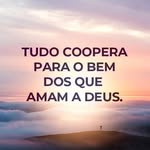 Elizabeth Palermo - @beth_santospalermo - Instagram