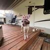 Beth_Pall - @beth_pall - TikTok