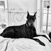 Beth Palmer - Facebook
