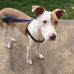 Beth Palmer - Facebook
