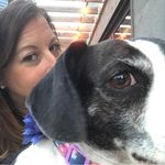 Elizabeth Palmisano - @lizziebeth0530 - Instagram