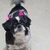 Elizabeth Pannell - Facebook