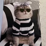 Beth Paonessa Cadmus - @bethpaonessa - Instagram