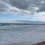 Lizabeth Pappas - @lizabethpappas - Instagram