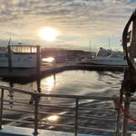 Beth Fink Paradis - @bethparadis1 - Instagram