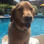 Beth Pardoe Serfass - @bethserfass - Instagram