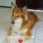 Luizabeth De Sousa Parente Beth - @luizabethdesousaparente - Instagram