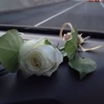 Beth - @bethparham475 - Instagram