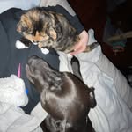 Bethany Parish - @beth_parish37 - Instagram