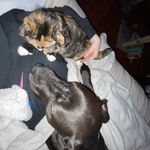 Bethany Parish - @beth_parish37 - Instagram