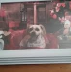 Beth Park - Facebook