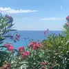 beth parkes - @beth.parkes - TikTok