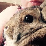 Beth Parkinson - @beth.and.dolly.forever - Instagram