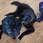 Bb - @beth.parrish.564 - Instagram