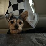 Beth Parrish - @bparrish988 - Instagram