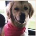 Beth Parrott - Facebook