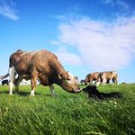 Beth Parry - @northwalesnutritionist - Instagram