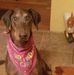 Elizabeth Pascarella - Facebook