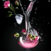 bethapaschal - @user99548480355123 - TikTok