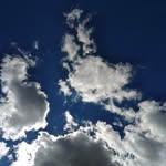 Beth Pasqualetto - @bethpasqualetto - Instagram
