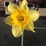 Bethany passmore - @bethany.passmore - Instagram