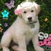 Elizabeth Patch - Facebook