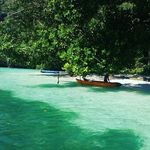 Beth Paulson - @sdbirdie - Instagram