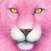 Beth Paulus - Facebook