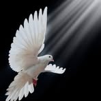 Andrea Pavel Both - Facebook