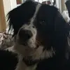 bethpawloski945 - @bethpawloski945 - TikTok