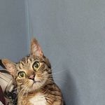 Betsy Pawlowski Kainz - @betsykainz - Instagram