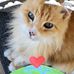 Beth Payne - Facebook