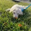 Beth Langley Payton - @user263831698 - TikTok